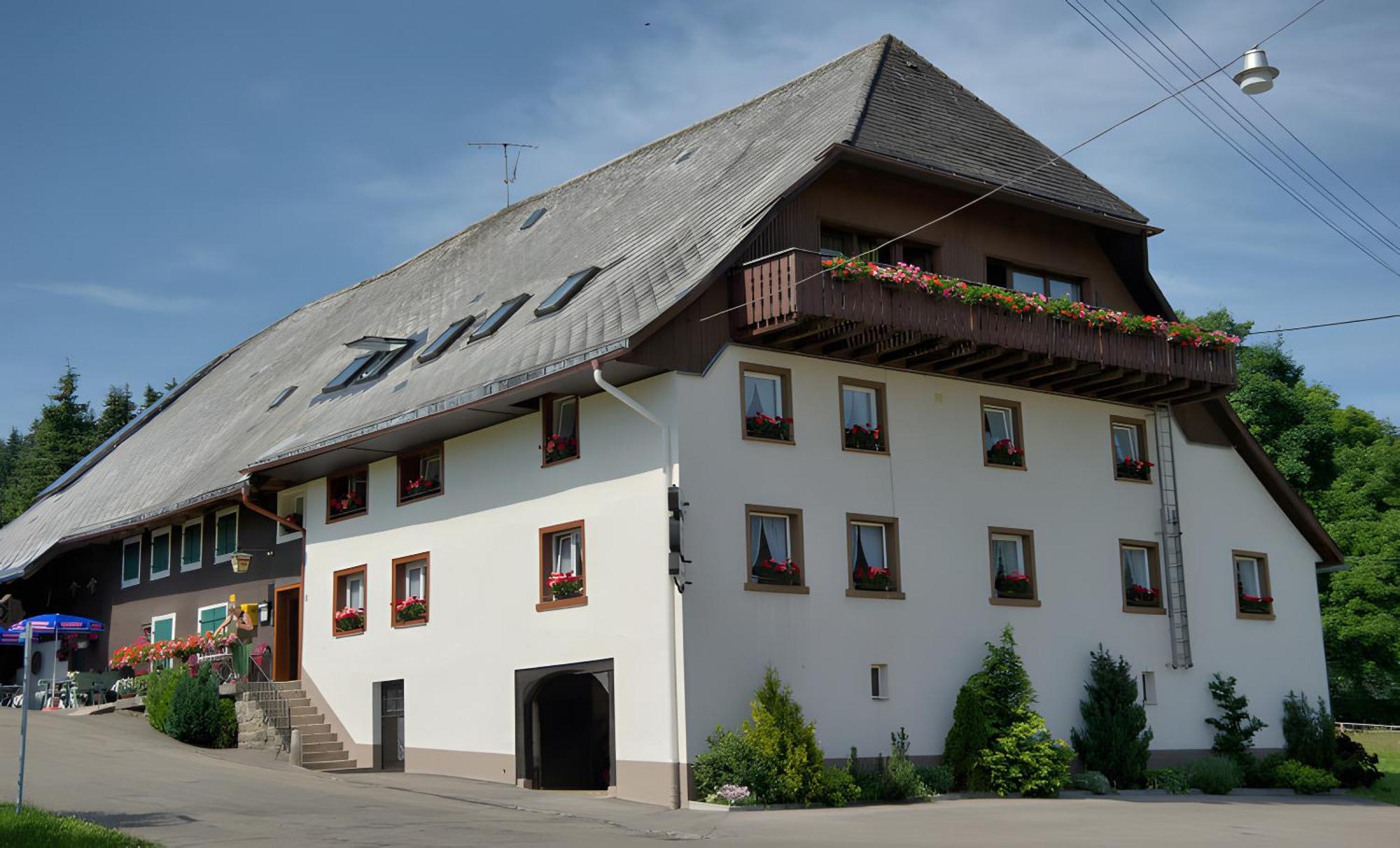 Gasthaus-Pension Zum Loewen Grafenhausen Exterior foto